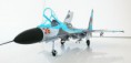 /album/su-27-scale-1-72-russian-figher/a20170319-104318-2-jpg/